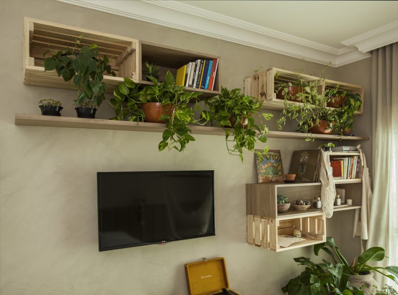 Utilização de plantas em casa – projeto Karina Korn  