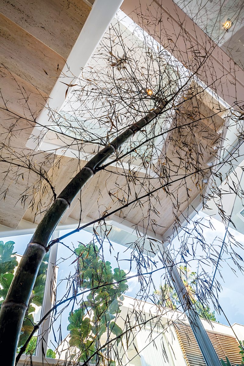 Detalhe da escada metálica que atende os três andares da casa, cujos vãos foram preenchidos por uma longilínea árvore bambu que acompanha as linhas arquitetônicas do projeto