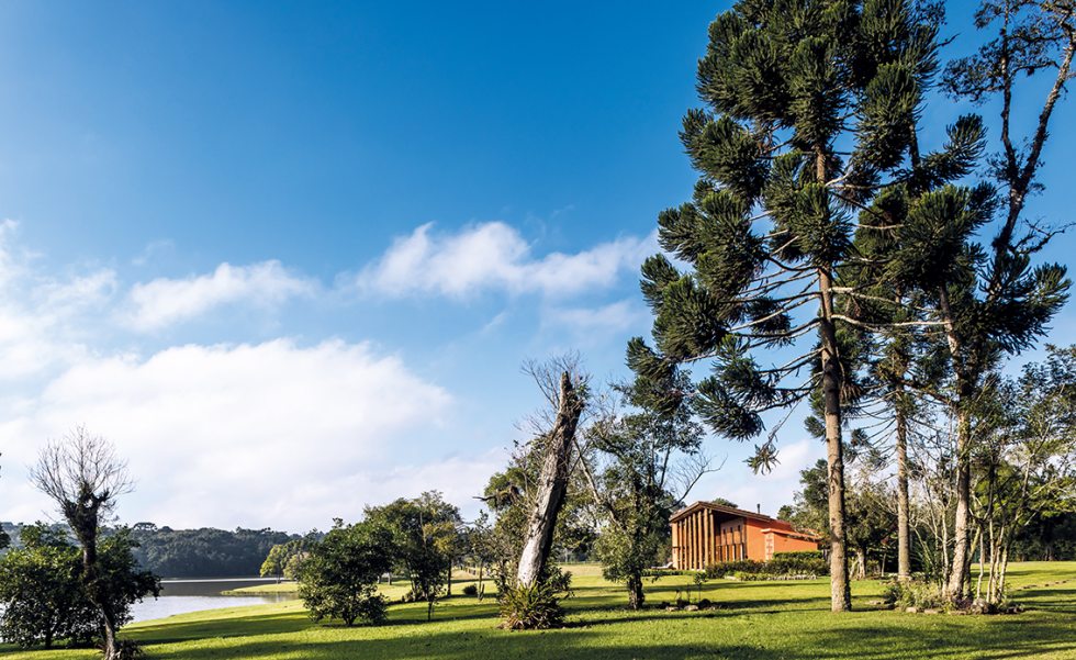 Junto com a vasta floresta de araucárias, o terreno da chácara também conta com um lindo lago, onde antes fora a hidrelétrica da serraria