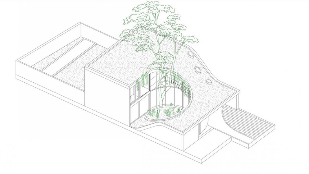 Com dois pavimentos, a construção tem um telhado verde que atua como jardim de onde se pode contemplar a copa da árvore