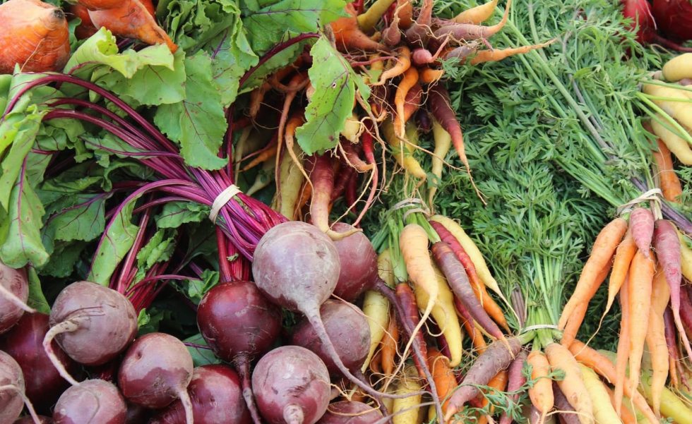 Na feira, encontramos a sazonalidade dos alimentos