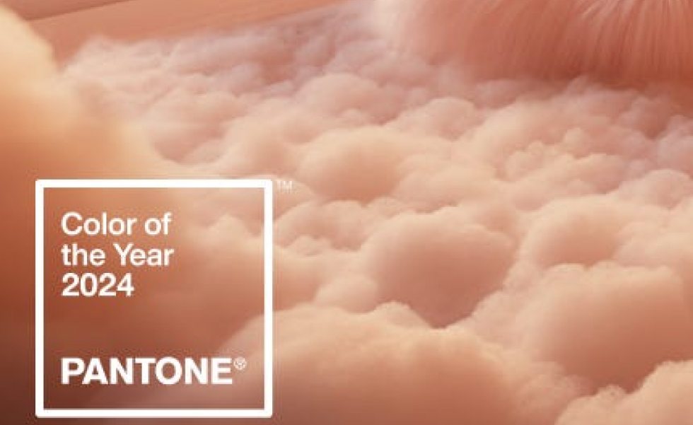 Pantone 2024: Peach Fuzz | Casa Sul