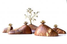 Linha Brasil, de Áurea Sacilotto 