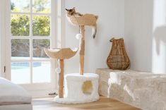 Árvore para gatos, Mau Pets.