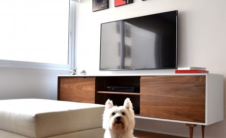 Decoração pet friendly | Casa Sul