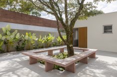 A árvore jacarandá organiza o pátio central, contornada pelo banco de concreto pigmentado.