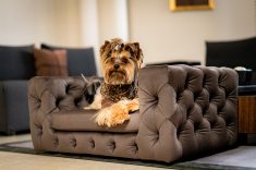 Sofá luxo, Pet Empire.