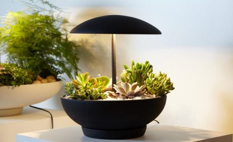 Greyhouse: luz e natureza | Casa Sul