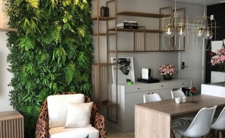 Plantas dentro de casa | Casa Sul