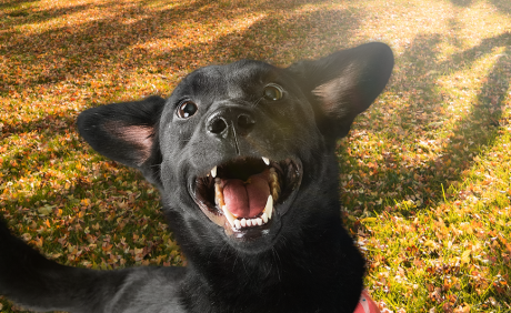 Arquitetura | Casa Sul