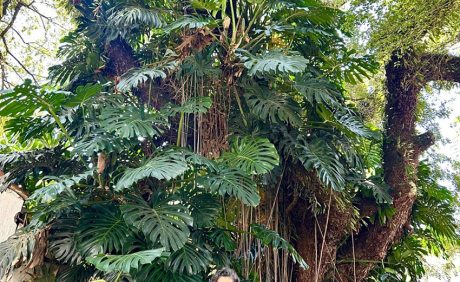 Arquitetura | Casa Sul