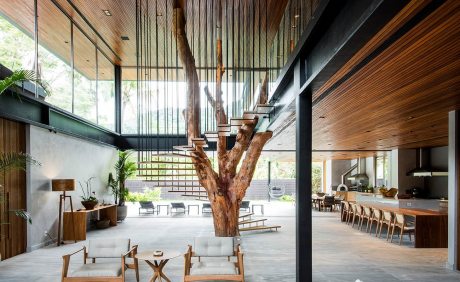 Inspiração: árvore se transforma em escada  | Casa Sul